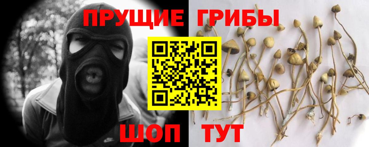 Псилоцибиновые грибы Magic Shrooms Воронеж